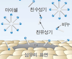 올바름 - 알고써요! 계면활성제