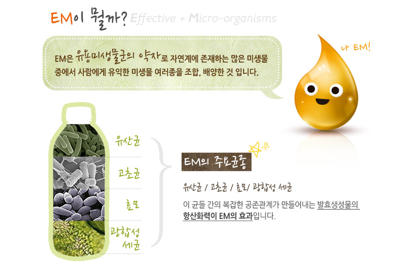 EM이란? EM은 Effective Micro-organisms의 머리글자를 딴 약자로서 유용한 미생물들 중에서 사람에게 유익한 미생물 수십종을 조합, 배양한 것입니다.