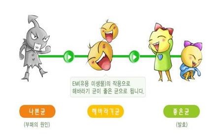 EM의 역활 : 지구상에 존재 하는 미생물의 80%는 기회주의적 성격을 가지고 있는 해바라기 균입니다. 이 해바라기 균은 나쁜 미생물의 수가 증가하면 나쁜 미생물의 성격을 가지고 부패나 오염에 가담하게 됩니다. 하지만 유익한 미생물의 수가 증가하면 유익한 미생물의 성격을 가지고 유익한 역할을 하게 됩니다. EM이 바로 이러한 해바라기균들을 유익한 방향으로 인도하는 역할 입니다.
