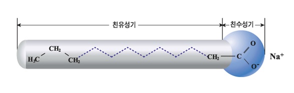 계면활성제의 분자 구조
