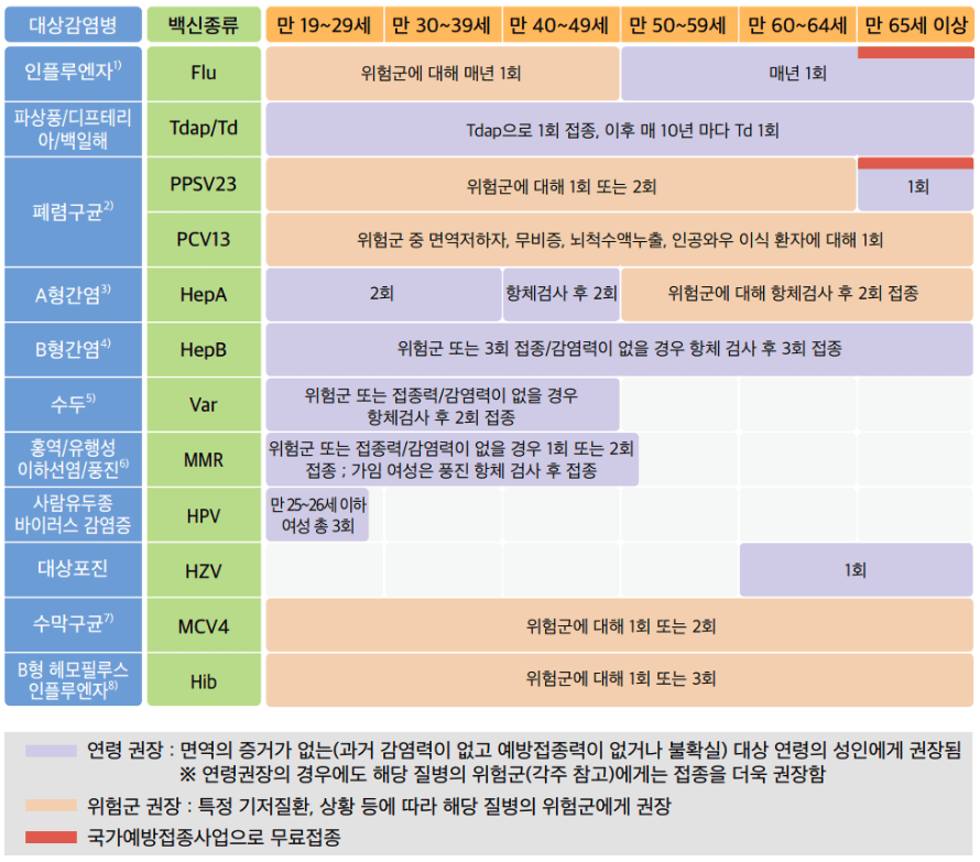 성인 예방접종 일정표